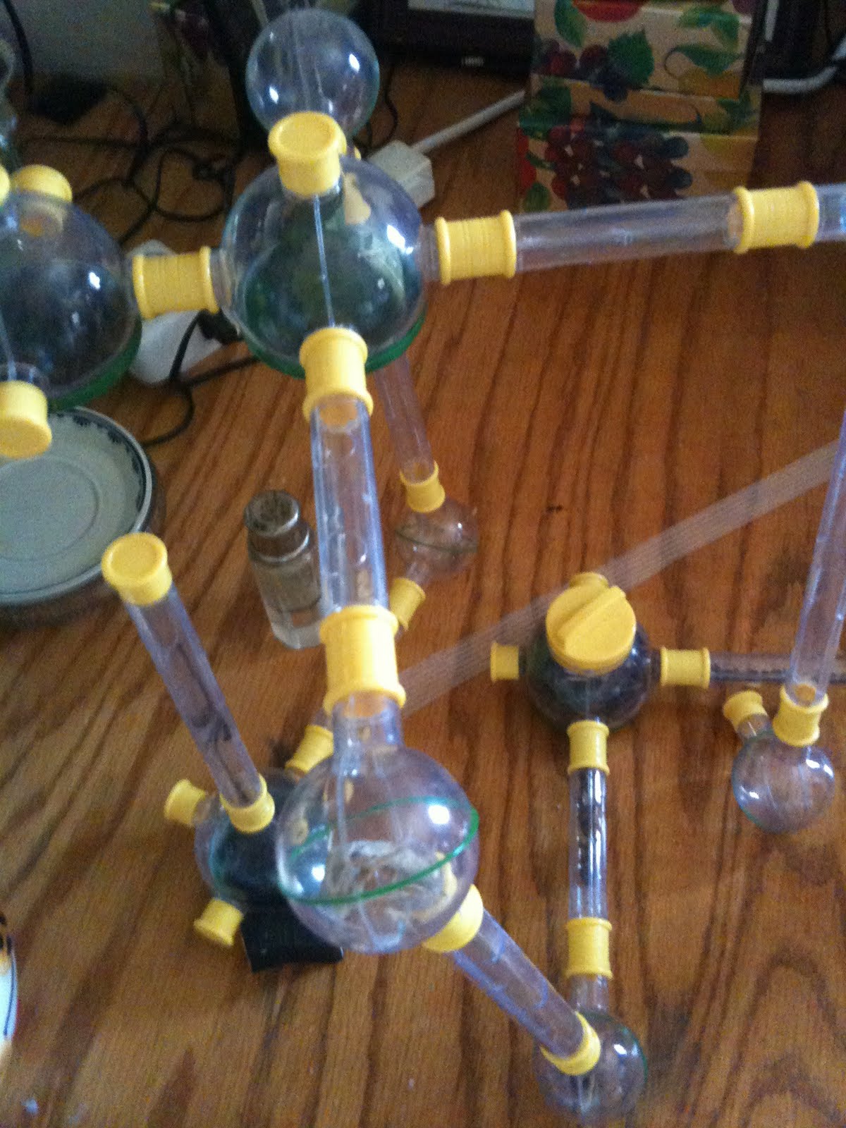 The Annual Wildlife Post—Why Bugs Freak Us Out