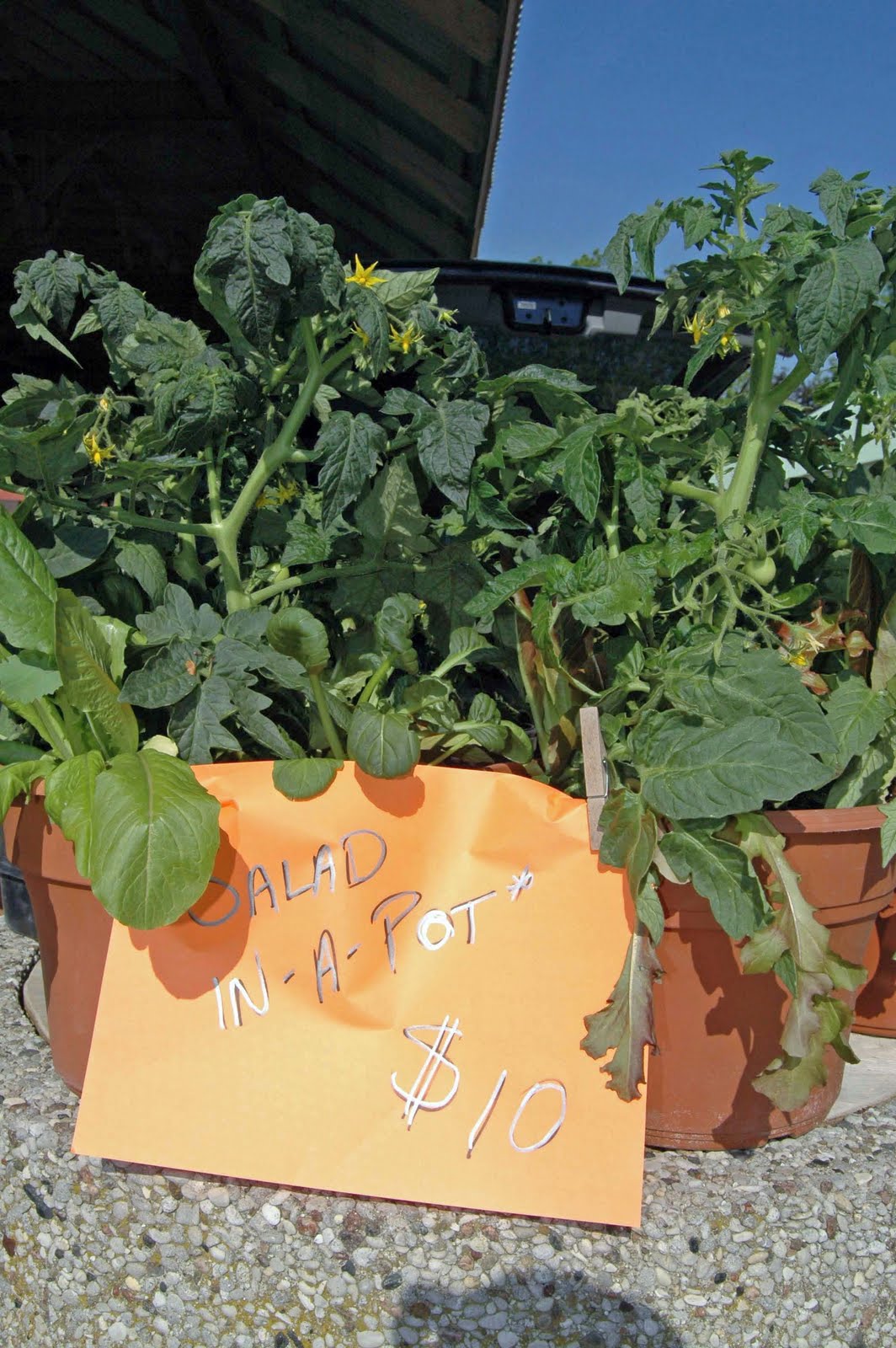 Horton Farmer's Market Good Things Grow in Ontario.....