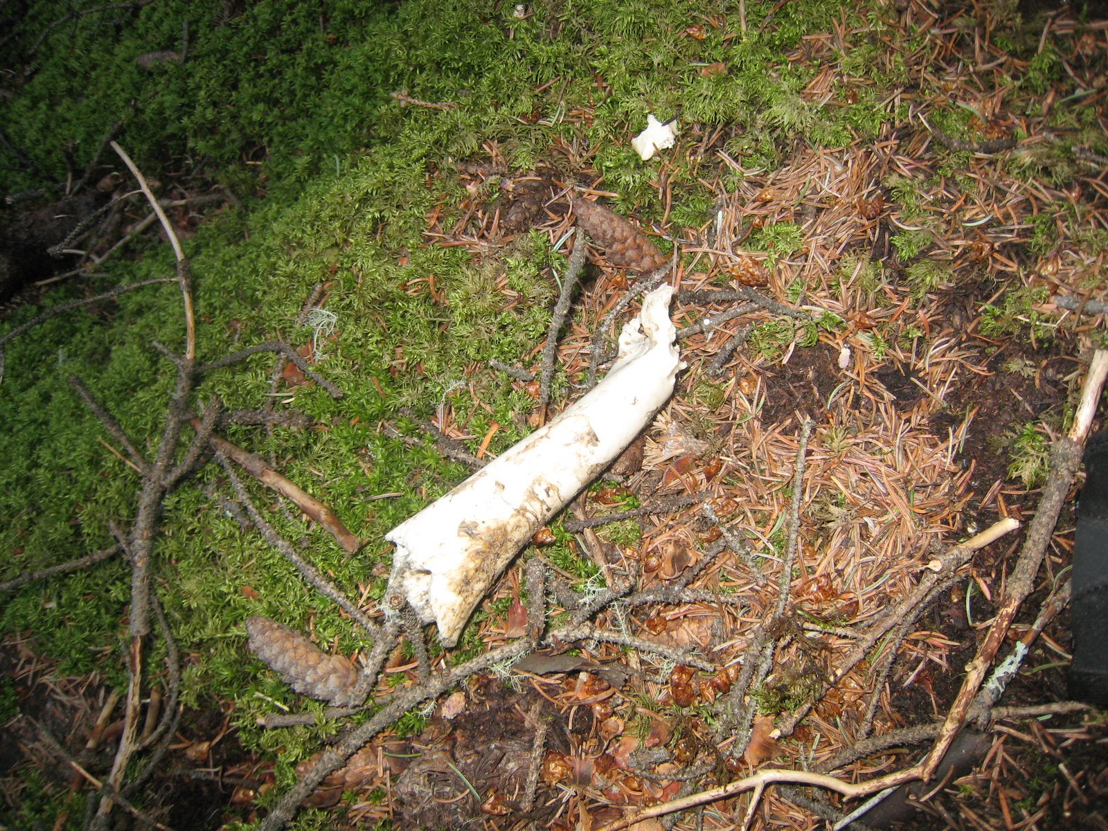 [IMG_1493.JPG]