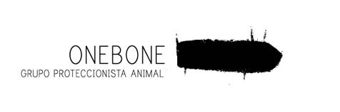 One Bone | Grupo proteccionista animal