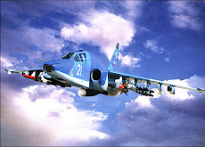 Sukhoi Su-39 (Su-25TM) NAVAL