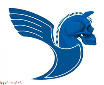 IRAN AIR'S NEW LOGO........