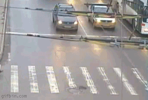 1256045604_lucky-guy.gif