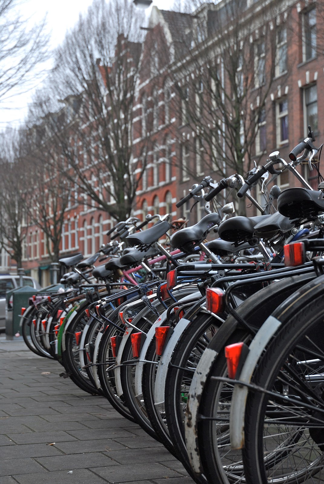 Urban Research Cycling to Sustainability in Amsterdam