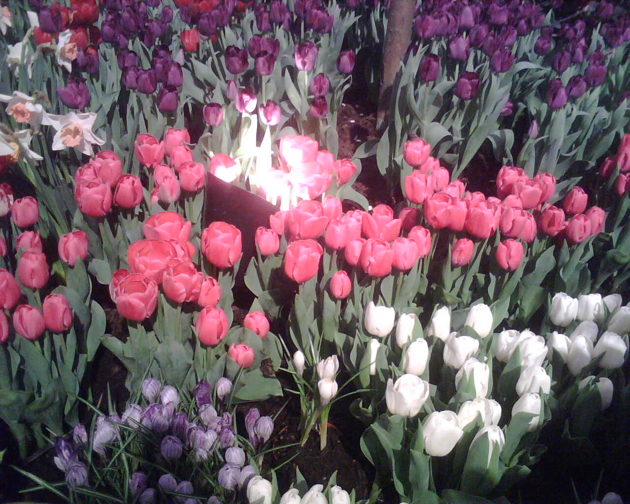 [IMG00036.jpg]