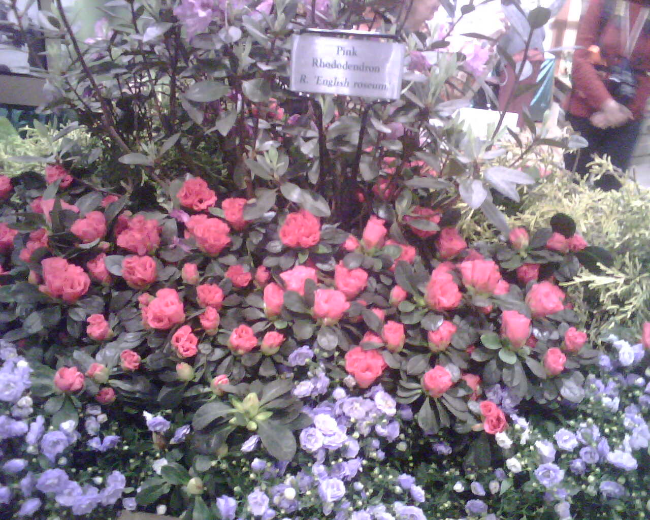 [IMG00042.jpg]