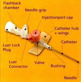 Nursing Skills Guide: IV Cannula