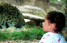 Look me in the Eyes...