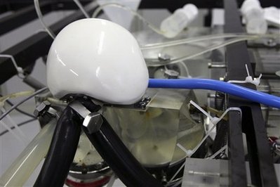 [artificial+heart.jpg]