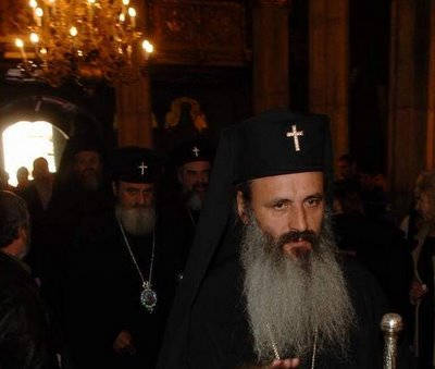 [ips+teofan+savu.jpg]