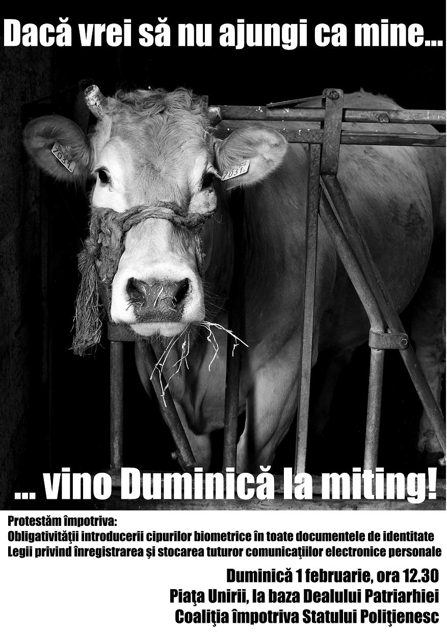 [Afis+Manifestatie+CIP.JPG]