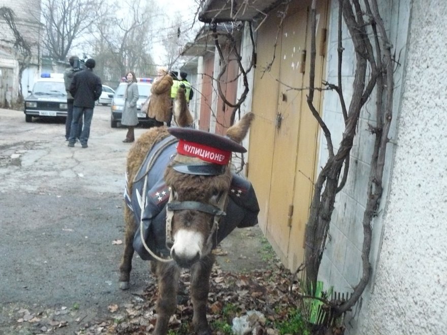 [protest+matasaru+militia+de+la+chisinau.jpg]