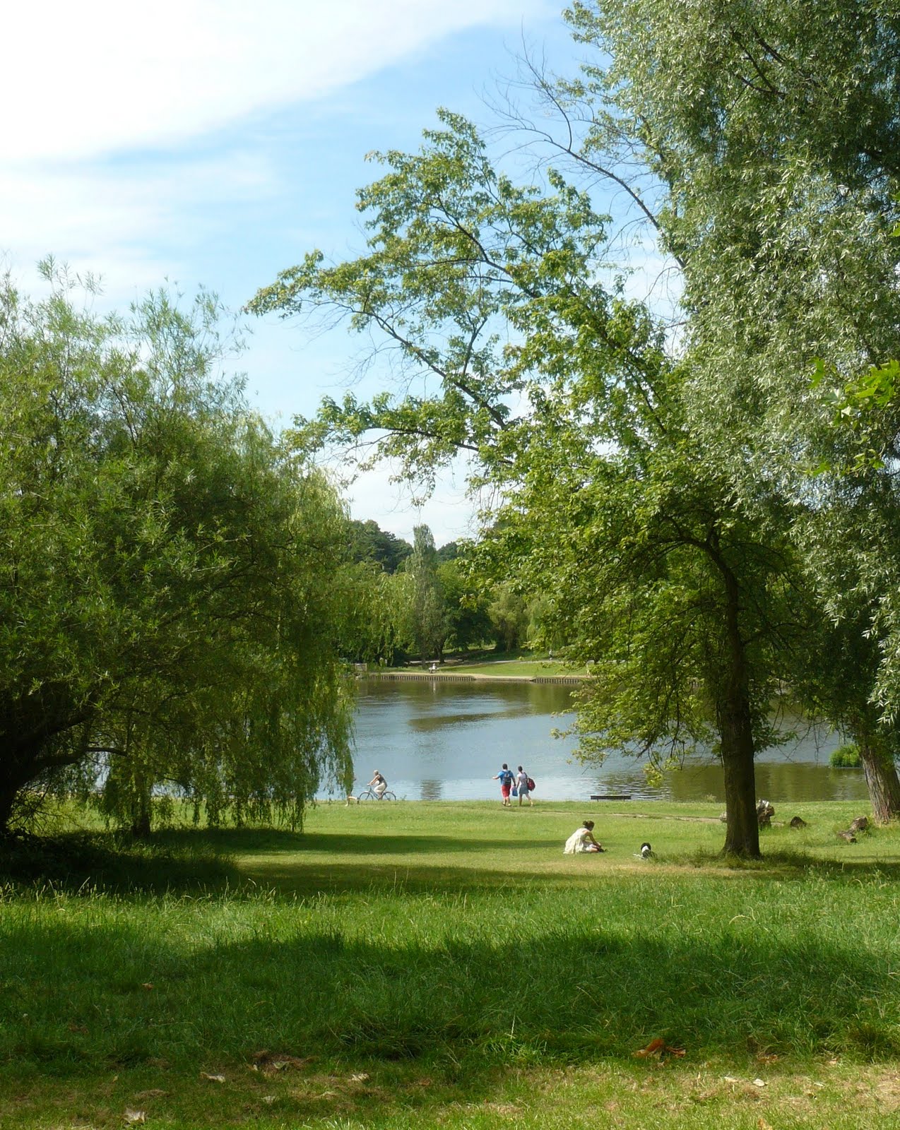 Martin Brookes Oakham Highgate Ponds London