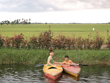 Berkayak di sawah padi