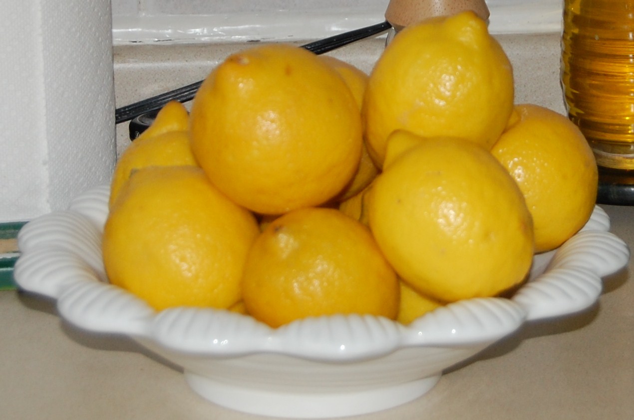 Frugal Living the natural and healthy way Limes and Lemons......Very