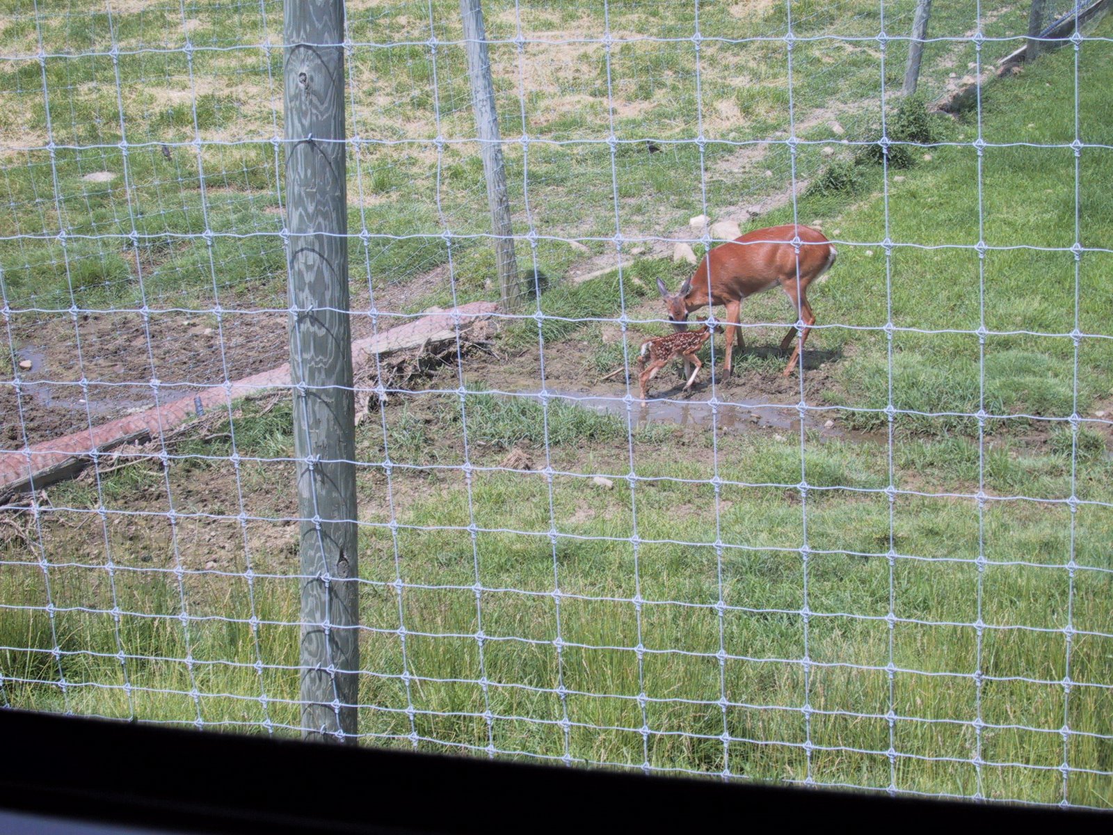 [Ohio+Trip+7-09+023.jpg]