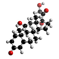 Prednisone 0 15 Prednisone Equivalencies