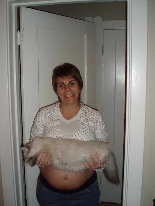 23 weeks with Loki