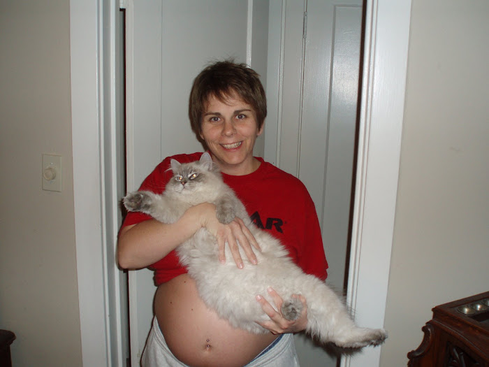 26 weeks with Loki