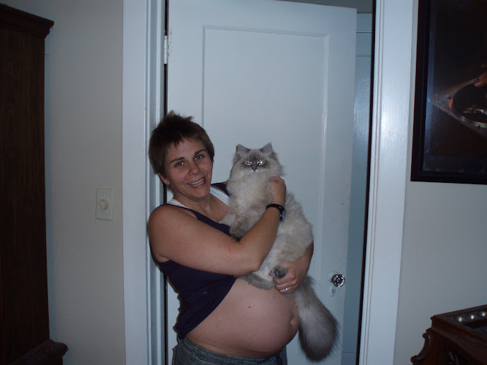 31 1/2 weeks