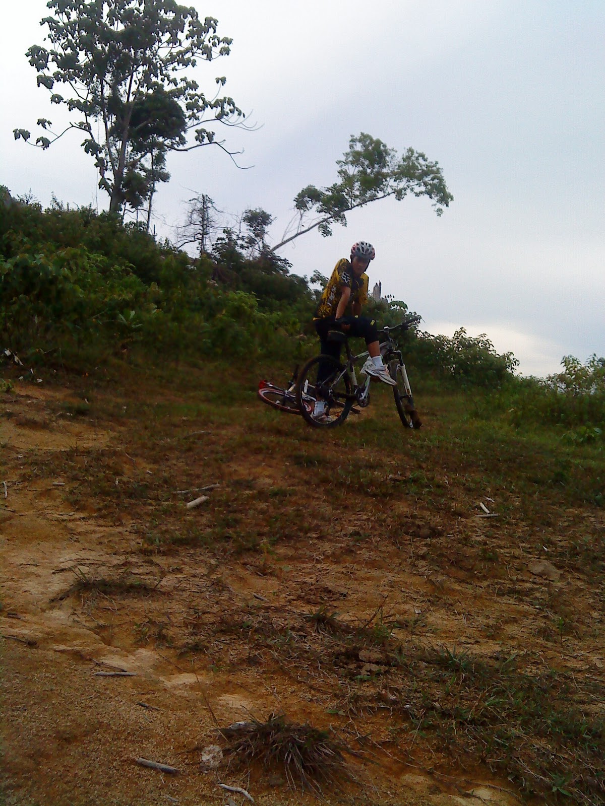 PIMCO: Kayuhan panjat Bukit Paling Tinggi dlm kebun