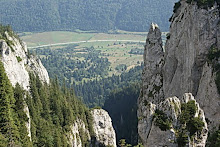 punct de belvedere