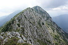Piatra Craiului