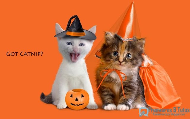 Spécial Halloween : 10 ressources pour trouver des fonds d'écran sur Halloween