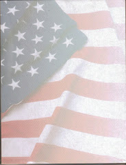 The American Flag