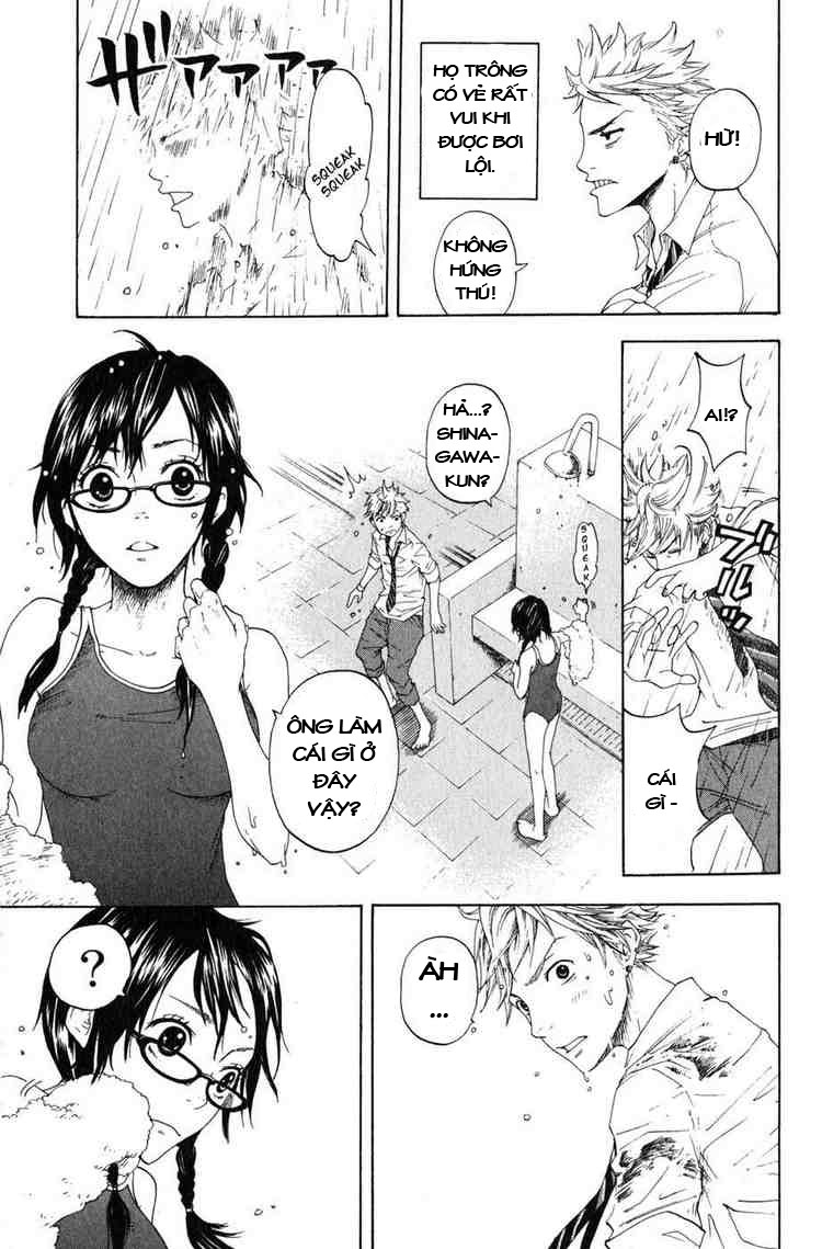 Yankee-kun to Megane-chan chap 0