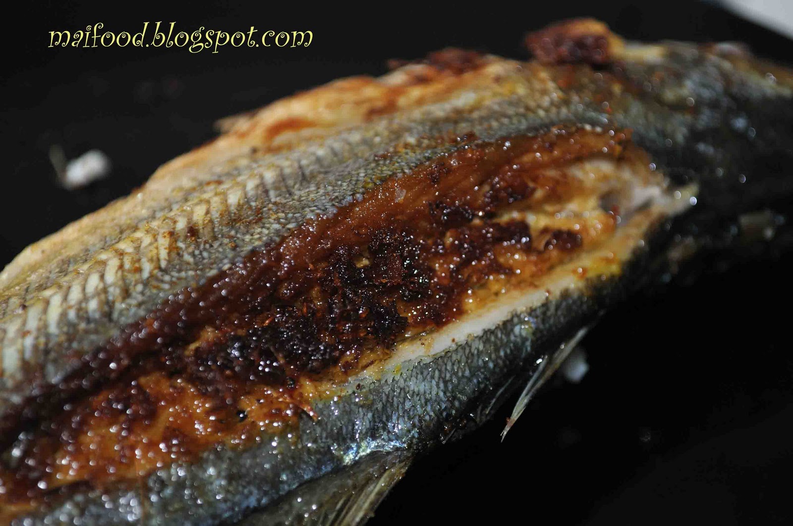 Maifood: ikan sumbat nyoq