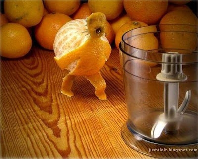 funny food oranges