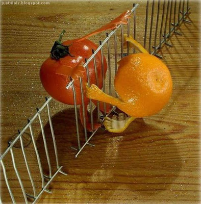 funny fruit