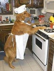perro cocinando