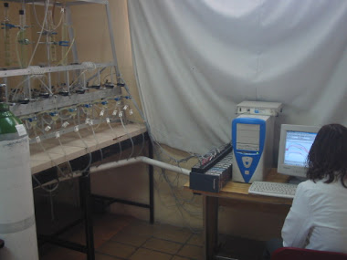 Experimentos in vitro