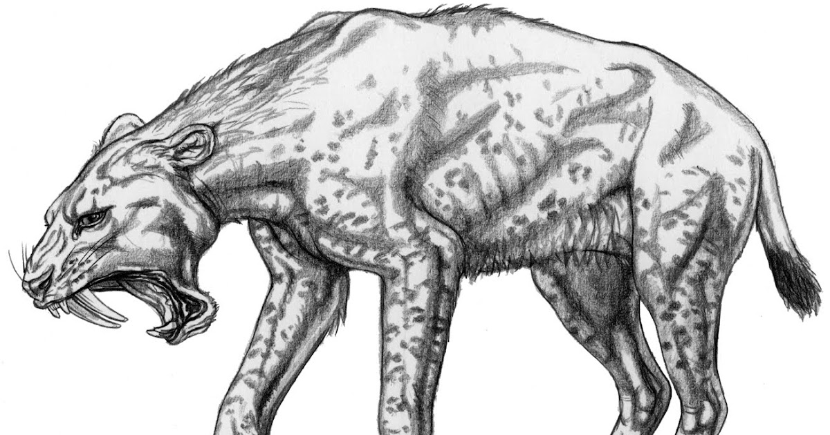 Ausmalbilder Säbelzahntiger: Eine Reise in die Urzeit – Kostenlose Malvorlagen für Groß und Klein!
