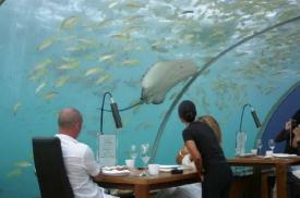 [maldives7_small.jpg]