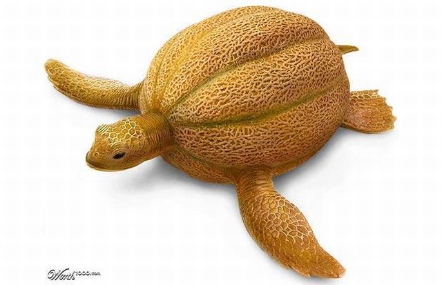 [photoshop_animals_09.jpg]