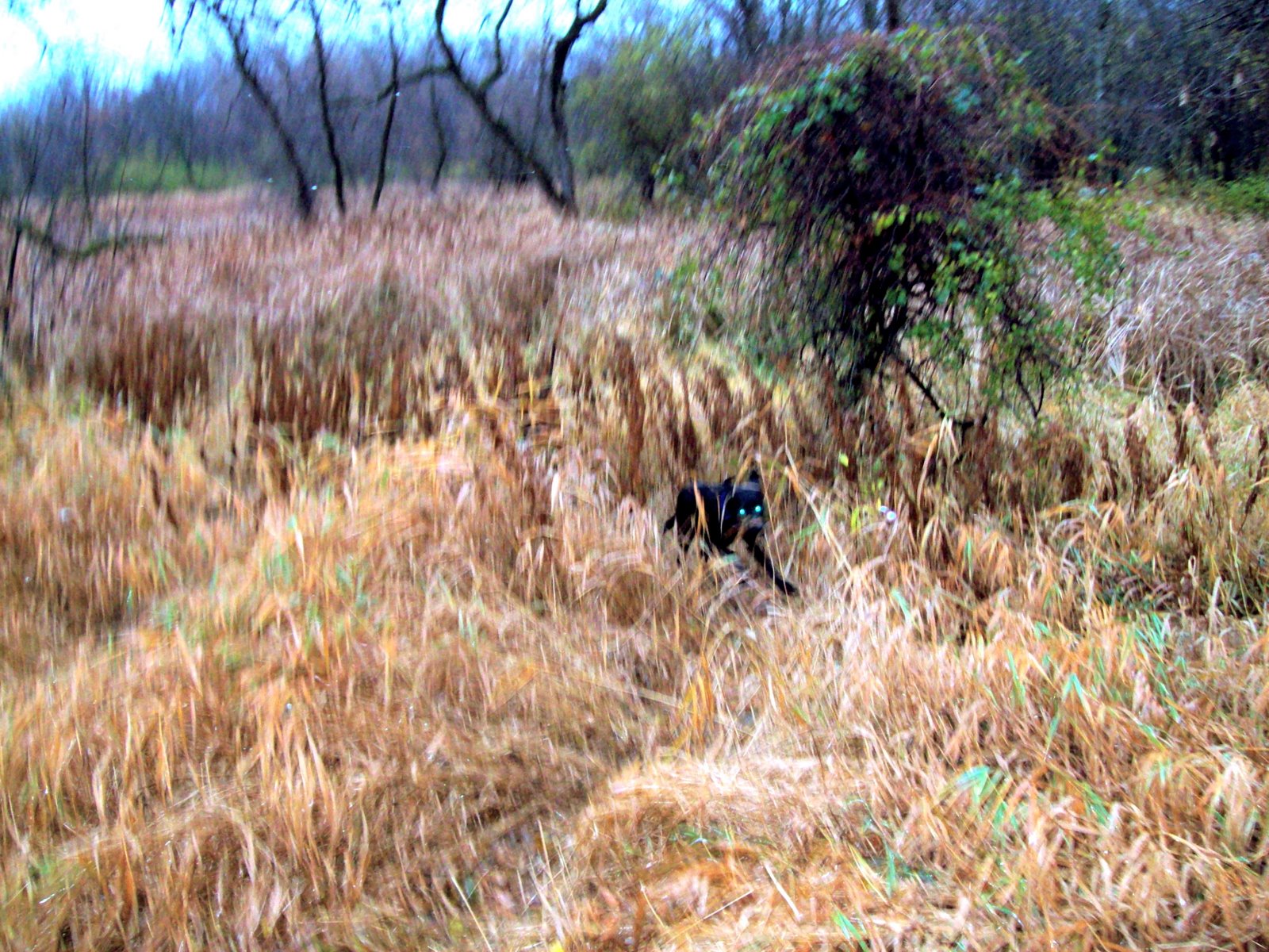[101_0165.JPG]