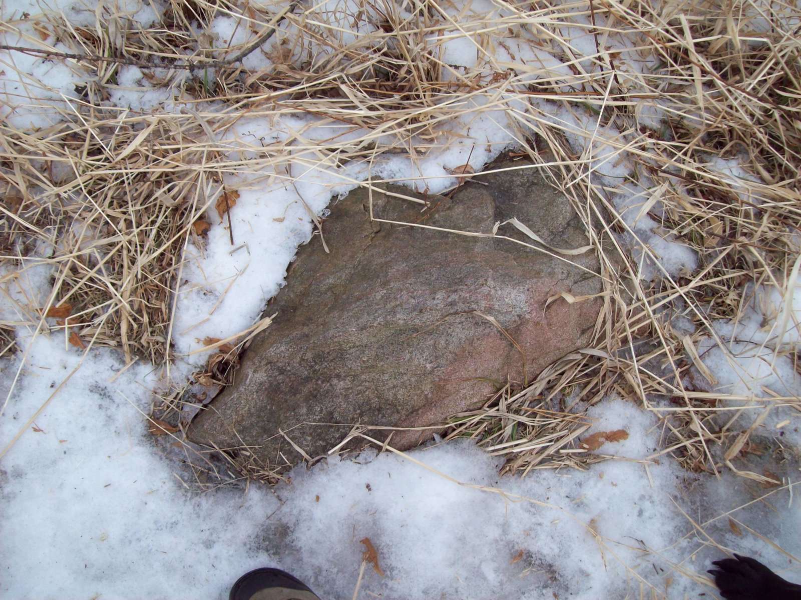 [101_0463.JPG]