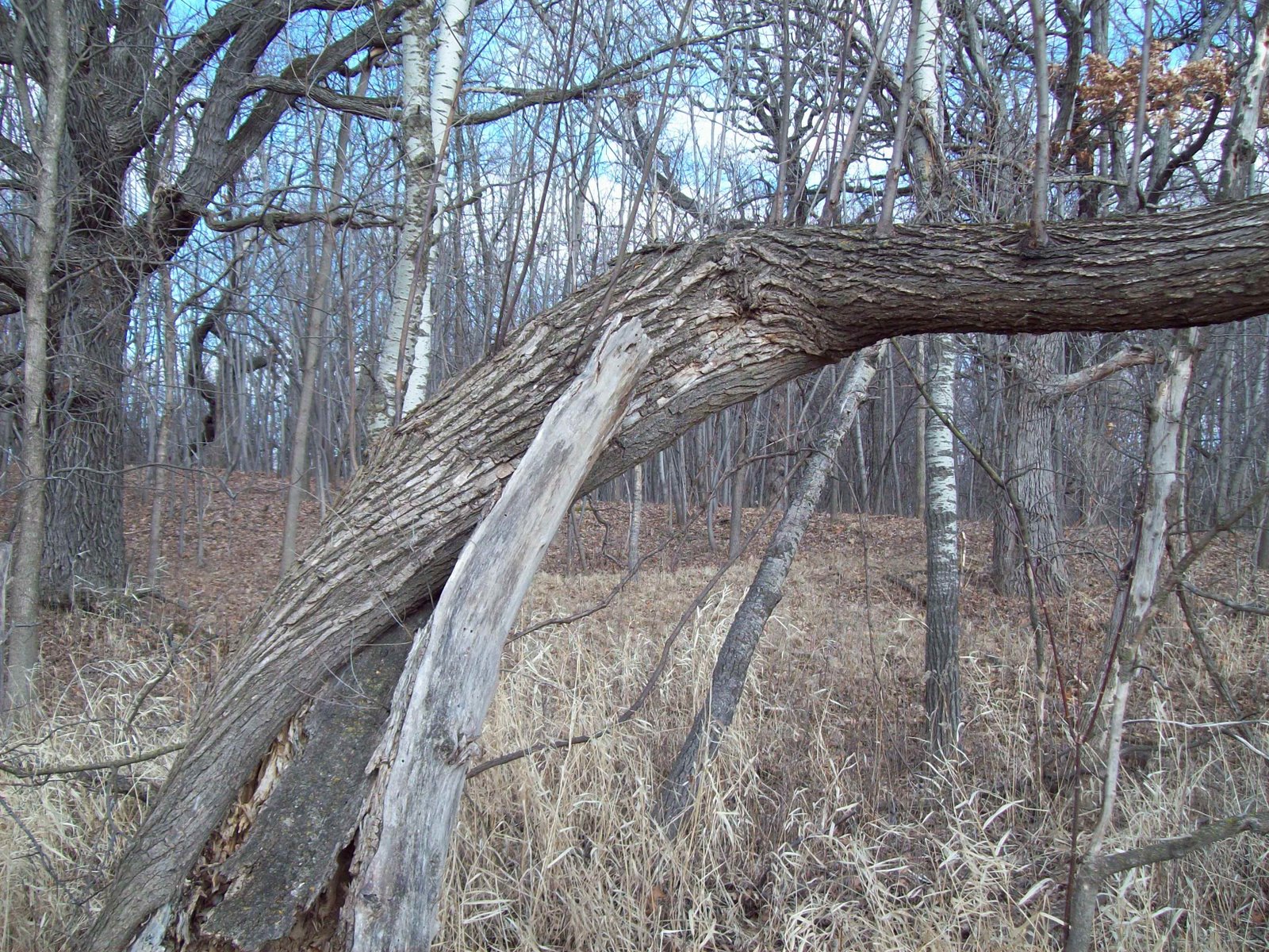 [101_0571.JPG]