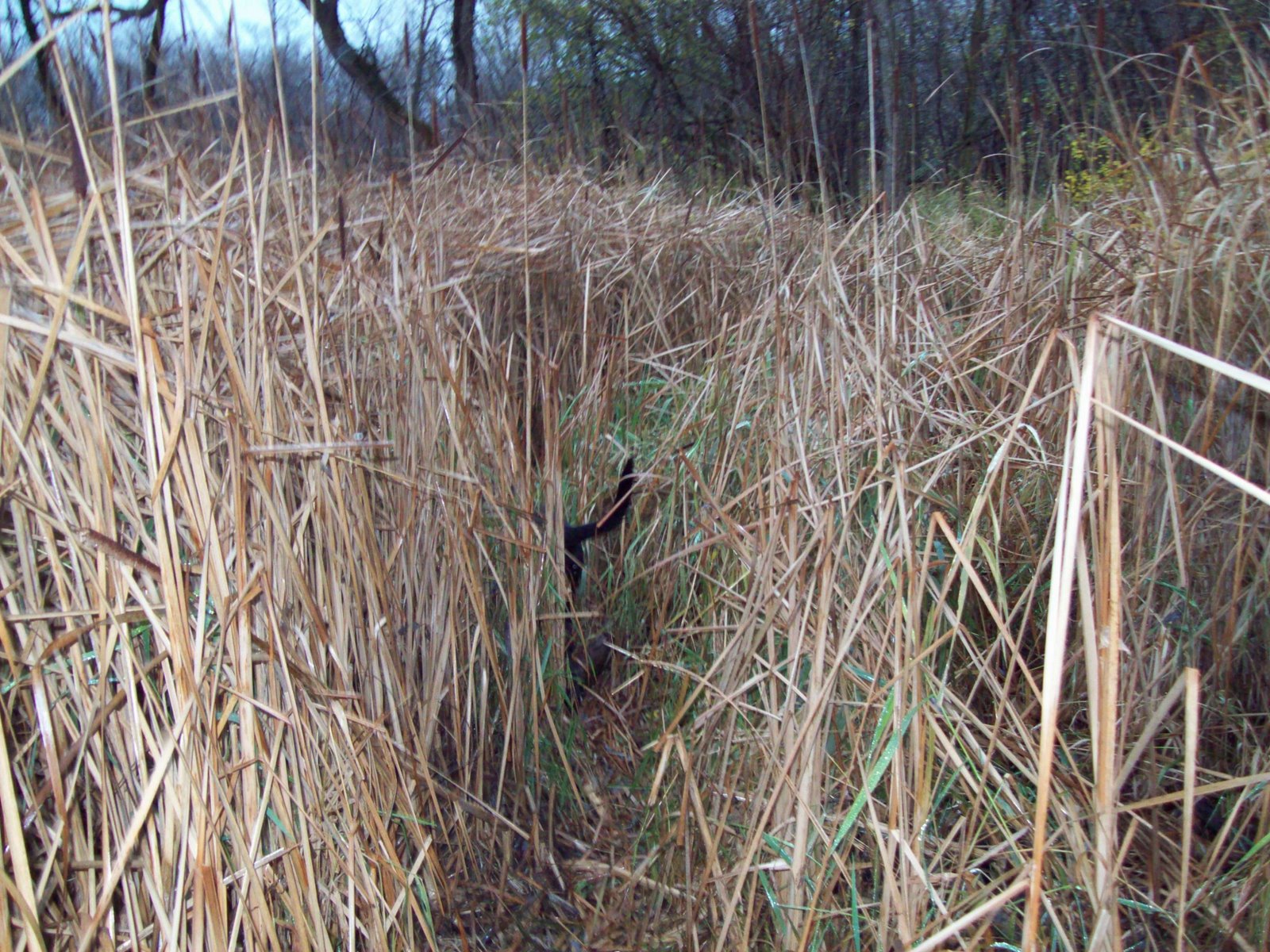 [101_0166.JPG]