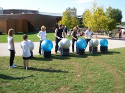 Libertyville Il Lymewalk 2009