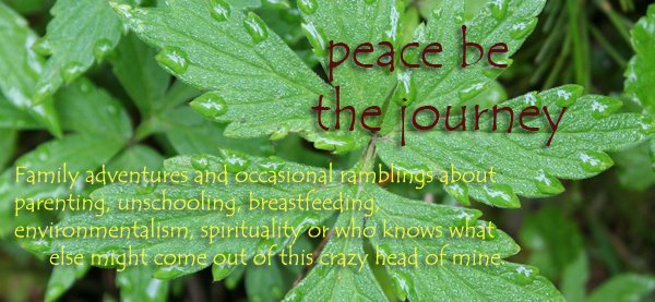 Peace be the Journey
