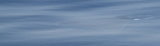 manta 4