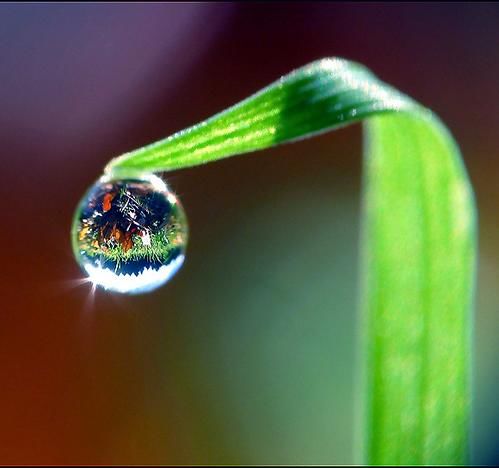 Капелька: капельки дождя...