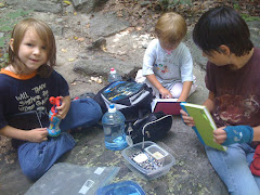 letterboxing