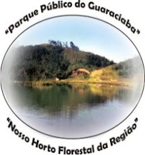 Nossa luta pelo parque Guaraciaba