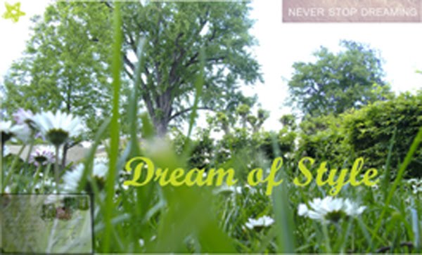 Dream of Style
