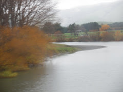 Ruamahanga River